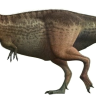 Tiran O'Saurus